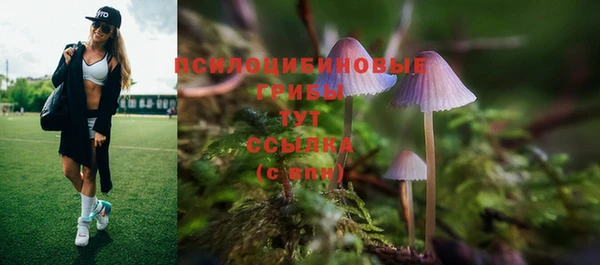 спайс Переславль-Залесский