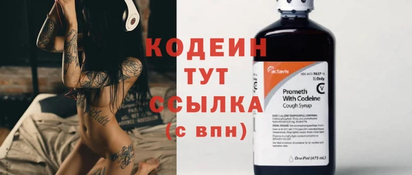 гашик Пересвет