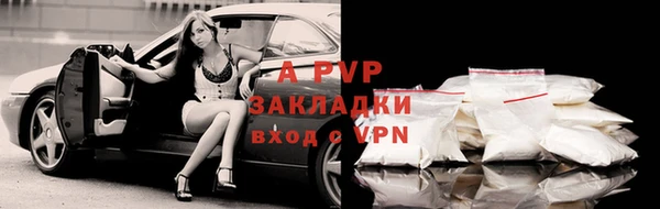 гашик Пересвет