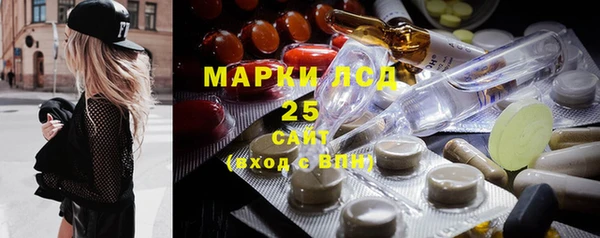 гашик Пересвет