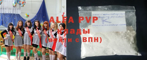 гашик Пересвет