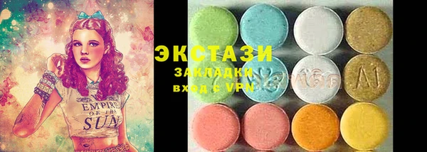 гашик Пересвет