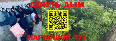 дживик Заводоуковск