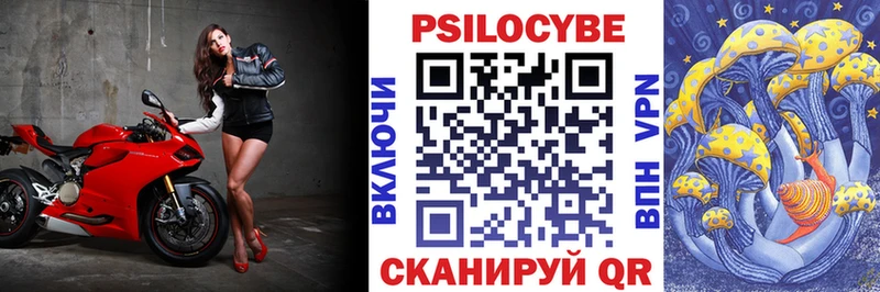 Псилоцибиновые грибы Cubensis  хочу наркоту  Пятигорск 