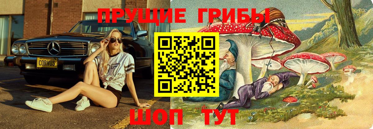 Пятигорск  закладки  Галлюциногенные грибы Psilocybine cubensis  Вход с VPN  Псилоцибиновые грибы MAGIC MUSHROOMS 